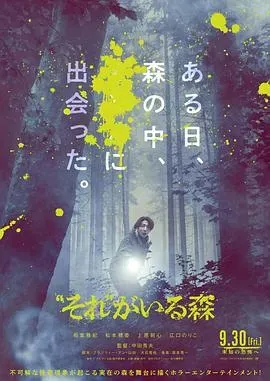 “那个”所在的森林