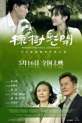 楝树花开
