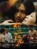 何以阳光