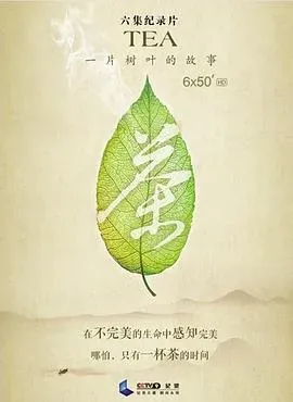 茶、一片树叶的故事