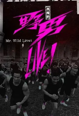 我推的野男LIVE!粤语