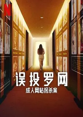 误投罗网:成人网站拐杀案